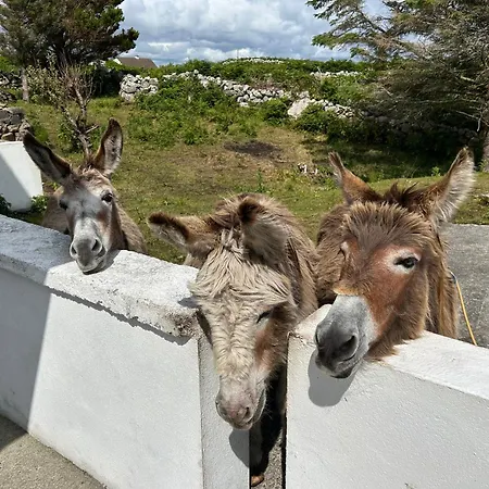 Tigh Oisin Vakantiehuis